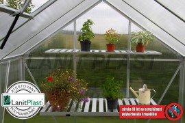 Greenhouse VITAVIA VENUS 2500 PC 4 mm zöld