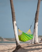 Hammock - FOREST - zöld színű