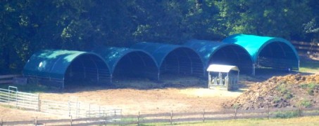 Shelter szarvasmarháknak, mérete 6 x 6 m