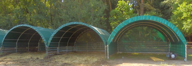 Shelter szarvasmarháknak, mérete 6 x 6 m