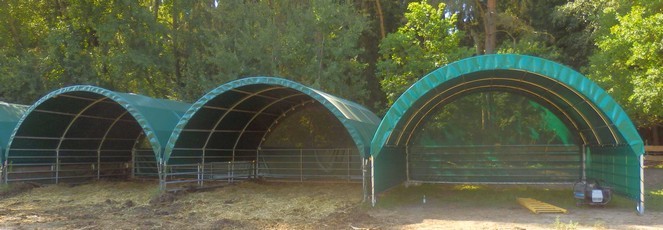 Shelter szarvasmarháknak, mérete 6 x 6 m